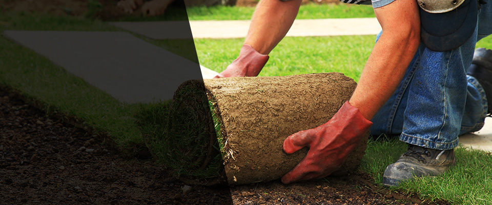 Homerville Landscapers